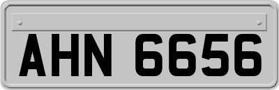 AHN6656