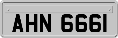 AHN6661