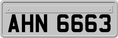 AHN6663