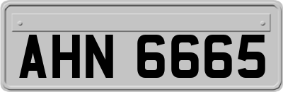 AHN6665