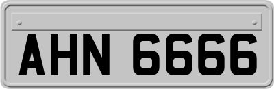 AHN6666