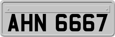 AHN6667