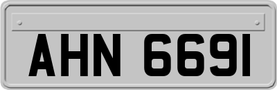 AHN6691