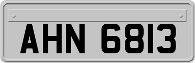 AHN6813