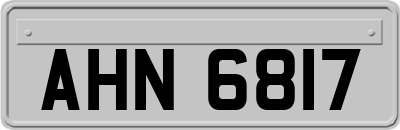 AHN6817