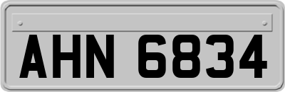 AHN6834