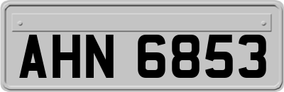 AHN6853