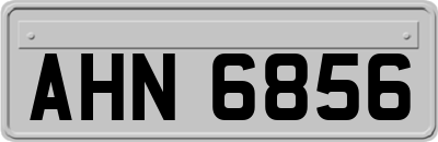 AHN6856