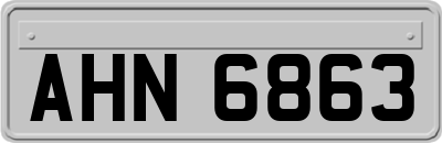 AHN6863