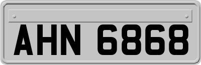 AHN6868