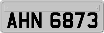 AHN6873