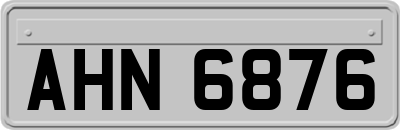 AHN6876