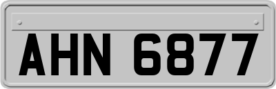 AHN6877