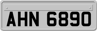 AHN6890