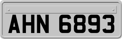 AHN6893