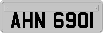 AHN6901