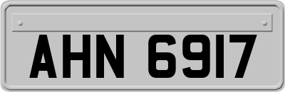 AHN6917