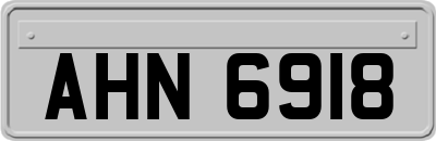 AHN6918