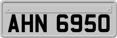 AHN6950