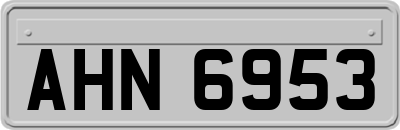 AHN6953