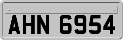 AHN6954