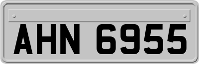 AHN6955