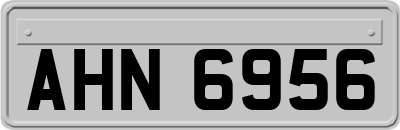 AHN6956