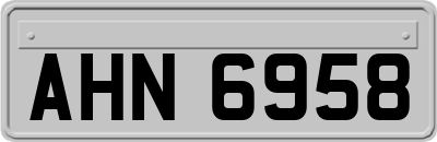 AHN6958