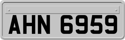 AHN6959