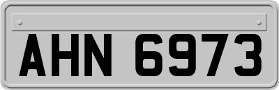 AHN6973