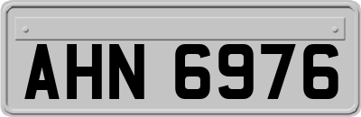 AHN6976