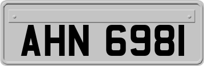AHN6981