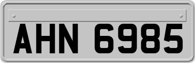 AHN6985