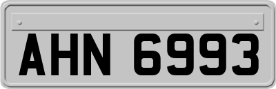 AHN6993
