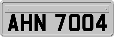 AHN7004