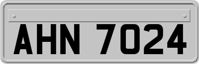 AHN7024