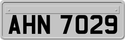 AHN7029