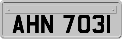 AHN7031