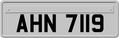 AHN7119