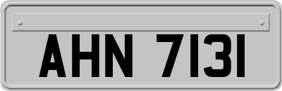 AHN7131