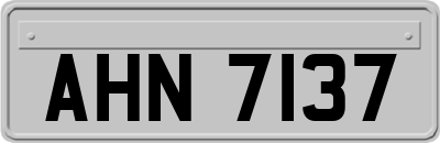 AHN7137