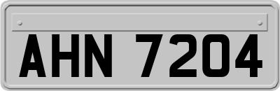 AHN7204