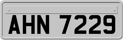 AHN7229
