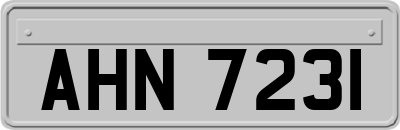 AHN7231