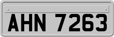 AHN7263