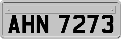 AHN7273
