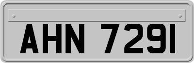 AHN7291