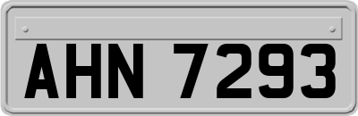 AHN7293