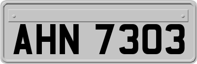 AHN7303