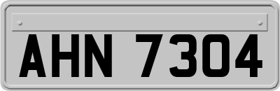AHN7304